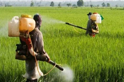 Anticaking Agent for NPK/DAP Fertilizers