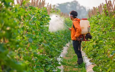 Agriculture Pressure sprayer