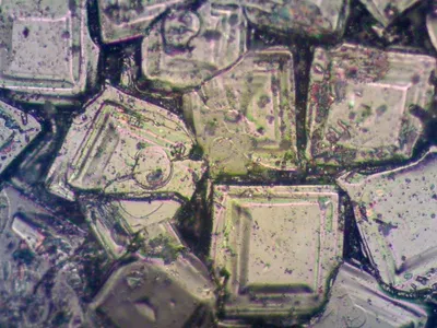 Zirconia fused alumina