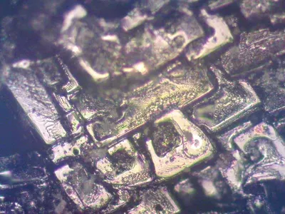 H7 PX26D Socket