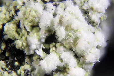 Glufosinate ammonium