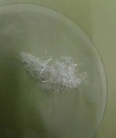 Bridnest