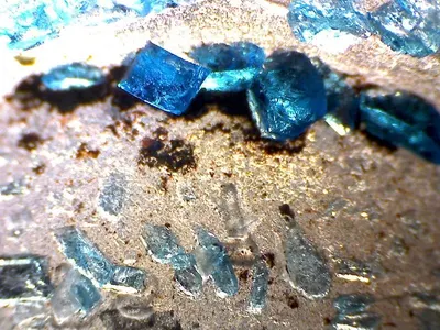 Desert Blu
