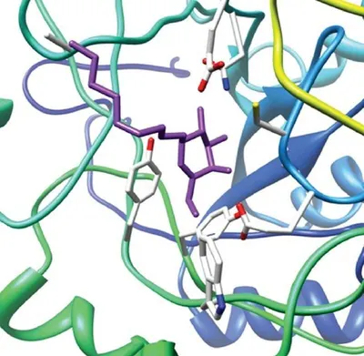 Phytase, Xylanase, Mannanase, Cellulase