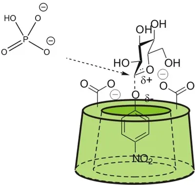 Granule Neutral Cellulase Enzyme