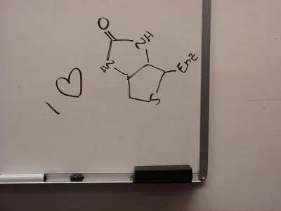 Whiteboard dry erase wall paint