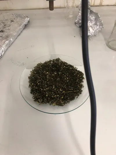Chrome Concentrate Tier 1 Supply