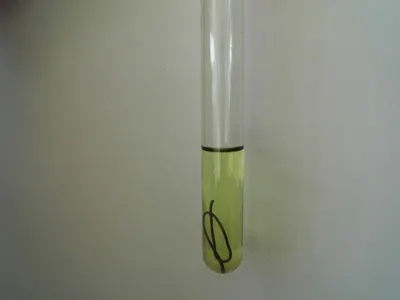 Test tube
