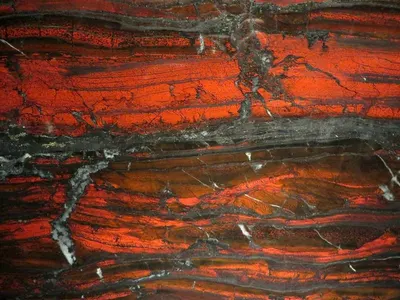 Red Sandal Wood