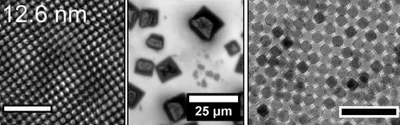 Copper oxide nanoparticles