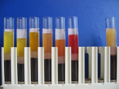 Colorful Adhesion Slides