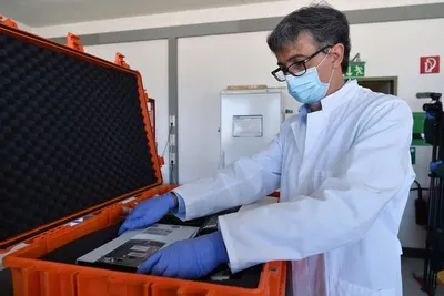 Insect screening