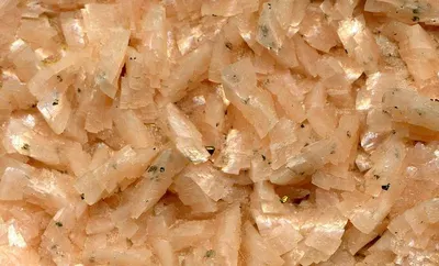 Onion Crack