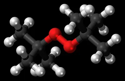 Resveratrol