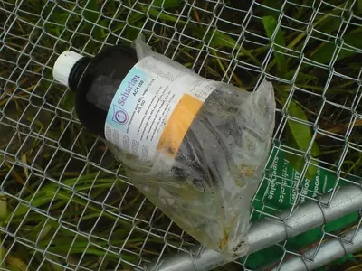 E3 Spirulina Liquid