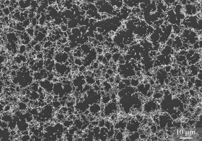 GRAPHENE Multilayered GP 100