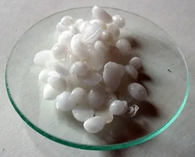Almaciga resin