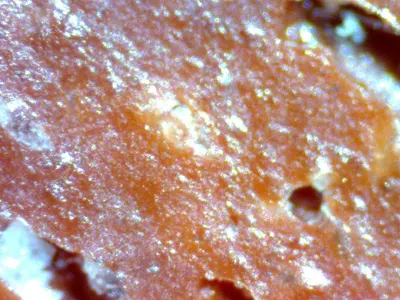 Sodium Silicate (Glass and liquid)