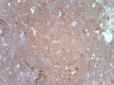 G681 shrimp red granite