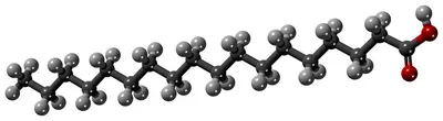 Chitosan by Nadhera Biotech