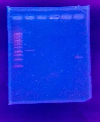 Gameboy Lcd Backlight