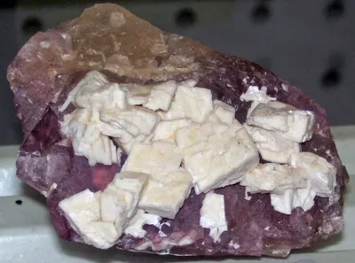 Frozen Purple/Yellow Taro At Competitive Price by 99 Gold Data Processing Trading Company Limited