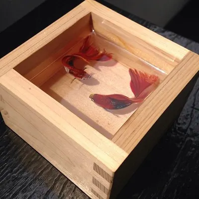 Dry Fish Shaving Box