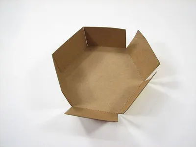 Paper French Fry Box