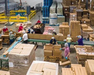 Fresh Food Distribution Sorting Scales