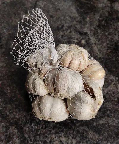 Fresh Pure White Garlic