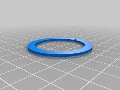 O-Ring