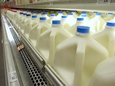 Dairy