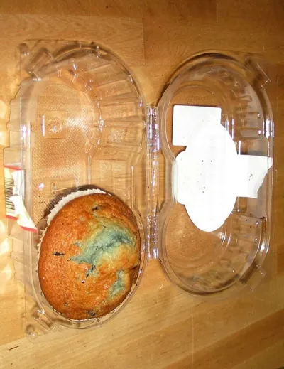 Plastic Container