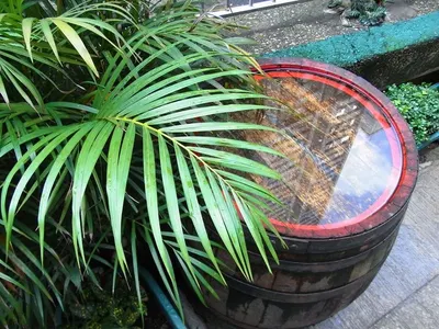 Vase Pot filled with Palm Leaves by Pt Indo Mitra Bersama