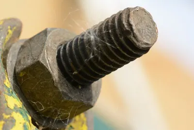 Slotted Cup Head Knurled Thumb Screws