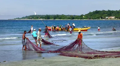 Baler net wrap