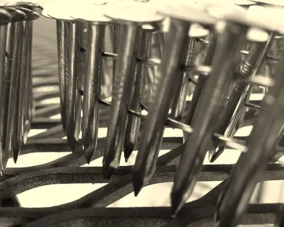 Coil nail