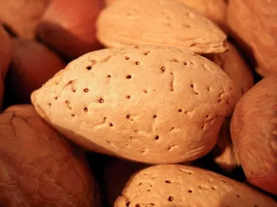 Nuts