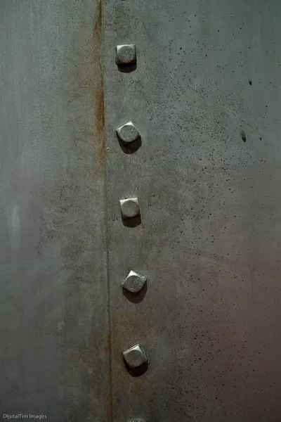 Panel