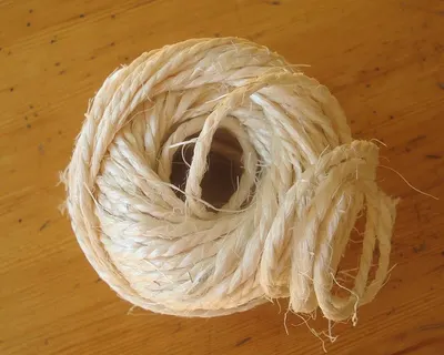 Bird Nest / Swallow bird nest