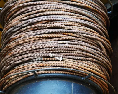 Lead Rope