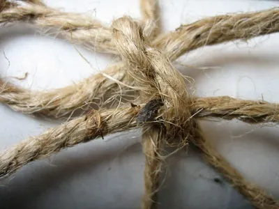 Rope And Net
