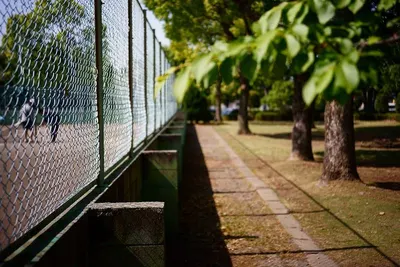 Metal Chain Link Fence