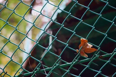 Welded Wire Mesh Gabion