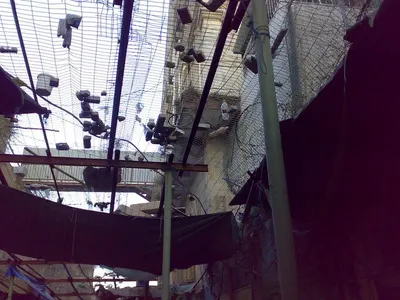 Indoor Climbing Wall by Funriders Liesure And Amusment Pvt. Ltd.