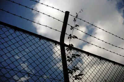 Concertina wire by Anping Huihe Hardware & Wire Mesh Co.,Ltd