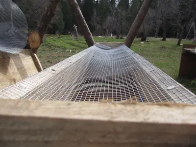 Hexagonal wire netting