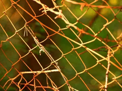 Welded mesh