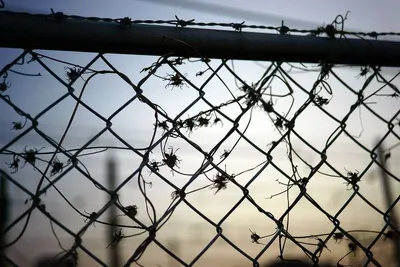 Lock Crimp Screen Wire Mesh
