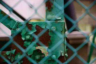 Wire mesh